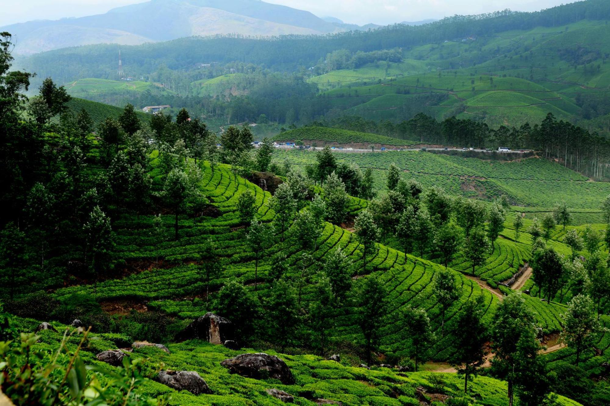 Mountain Club Resort Munnar Chinnakanal Bagian luar foto