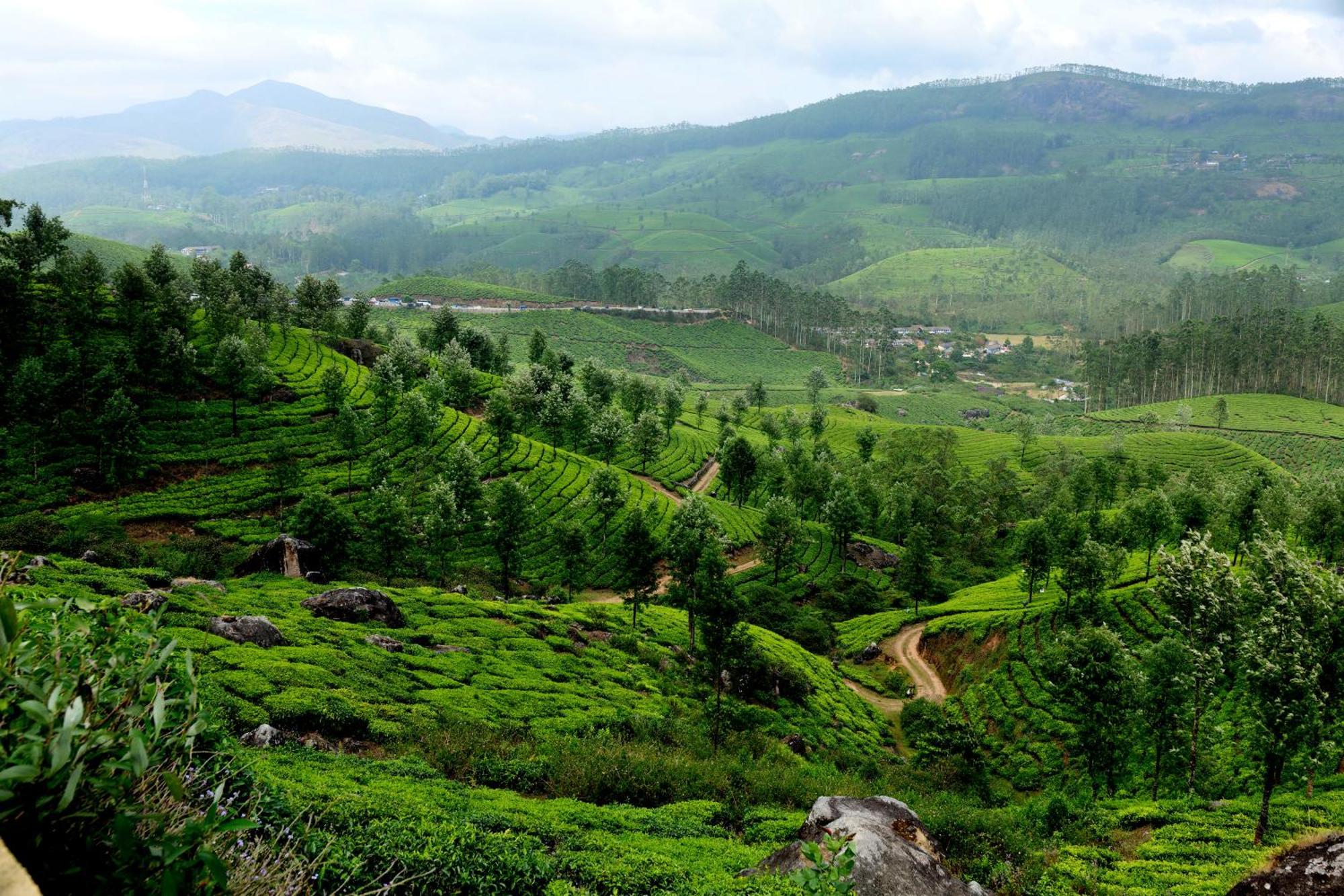 Mountain Club Resort Munnar Chinnakanal Bagian luar foto